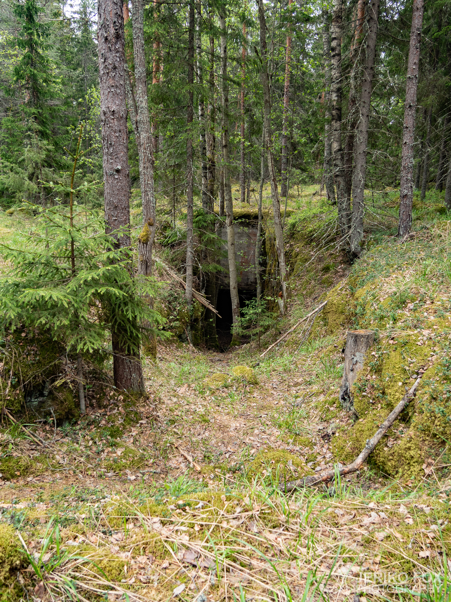 JFRM-2019-05-2341
