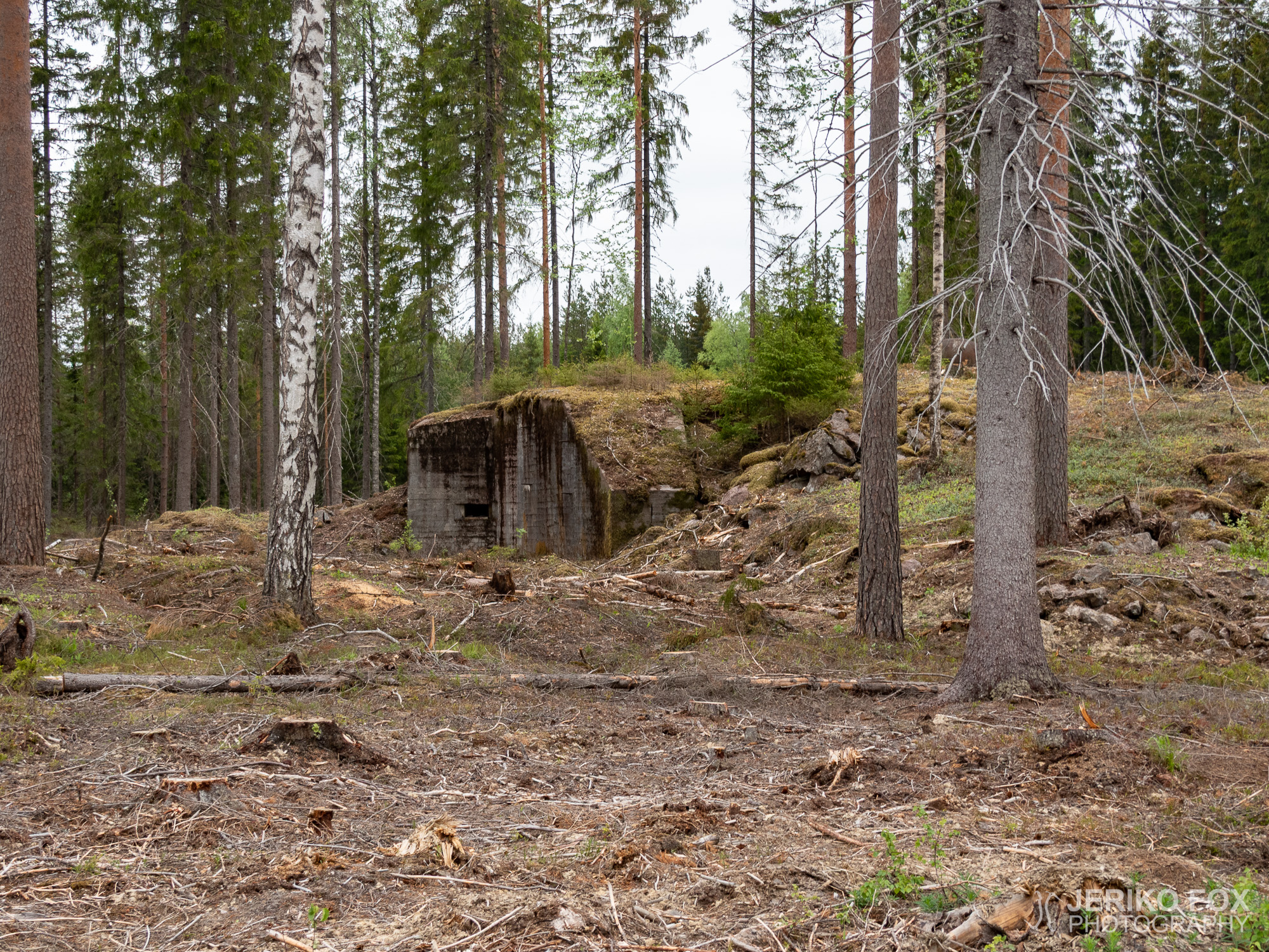 JFRM-2019-05-2342