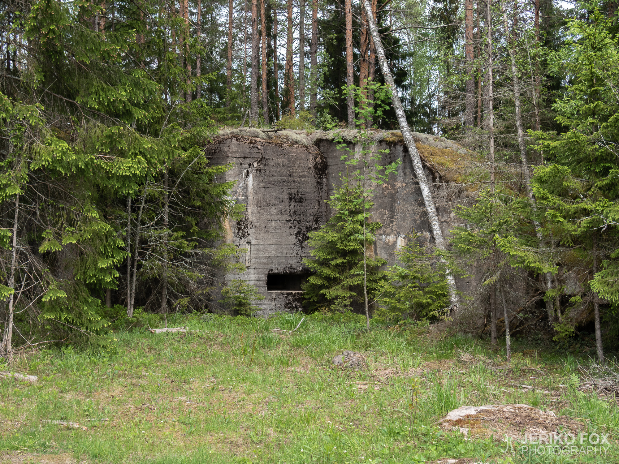 JFRM-2019-05-2348
