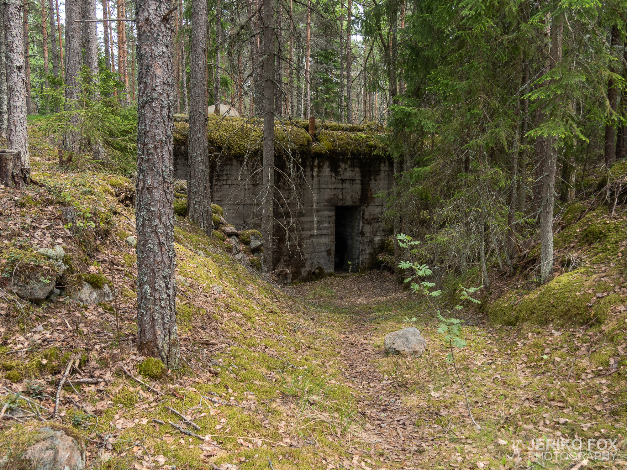 JFRM-2019-05-2353