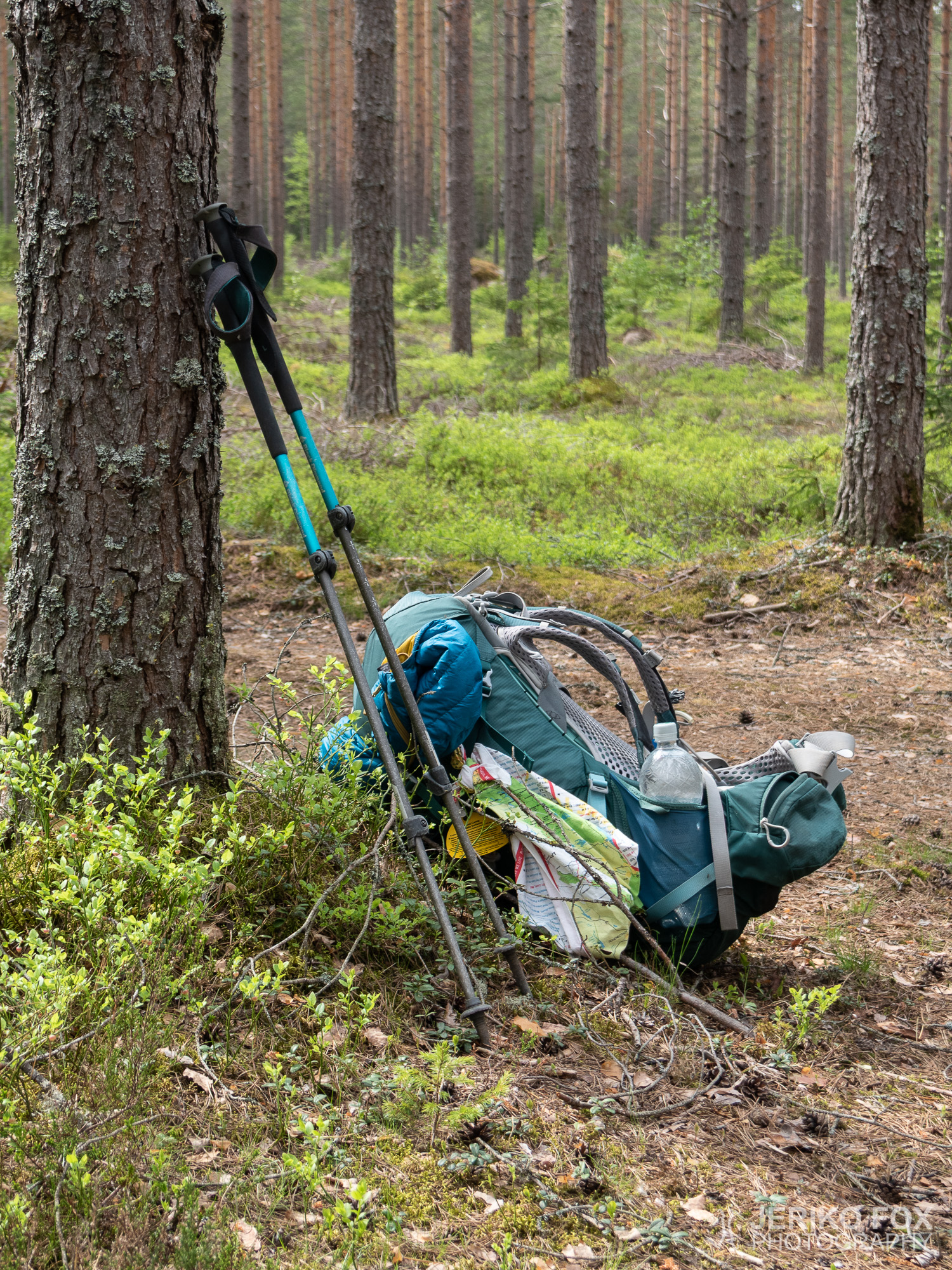 JFRM-2019-05-2363