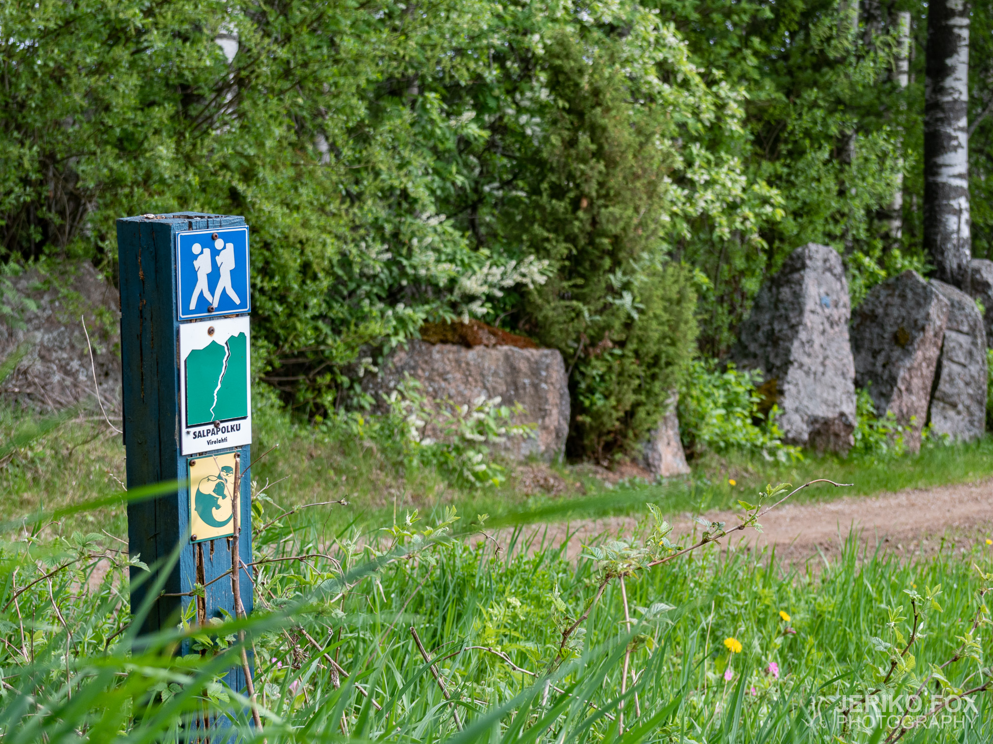 JFRM-2019-05-2376