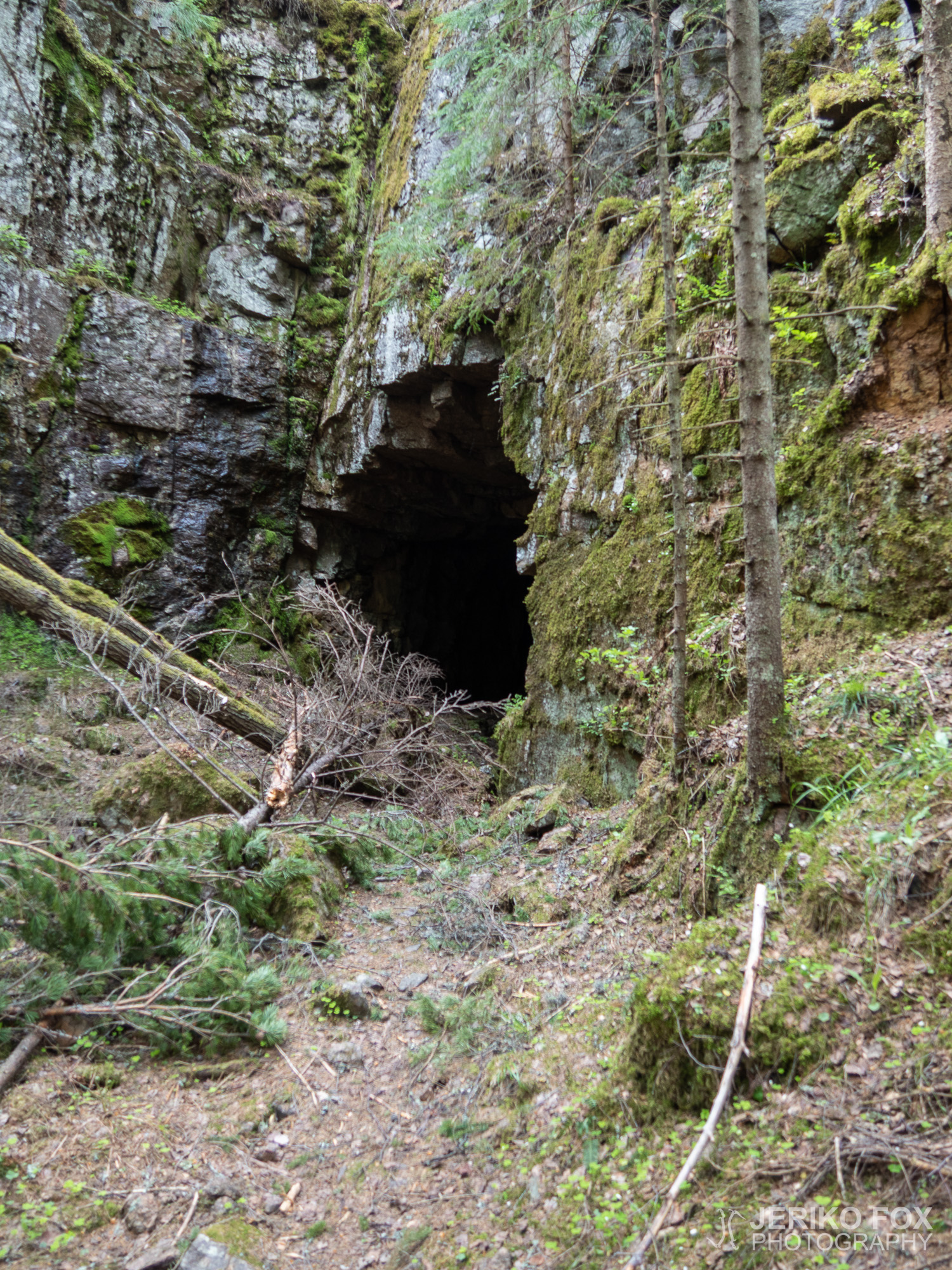 JFRM-2019-05-2378