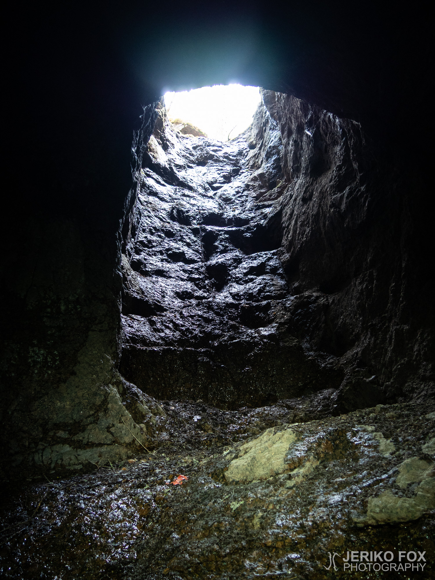 JFRM-2019-05-2386
