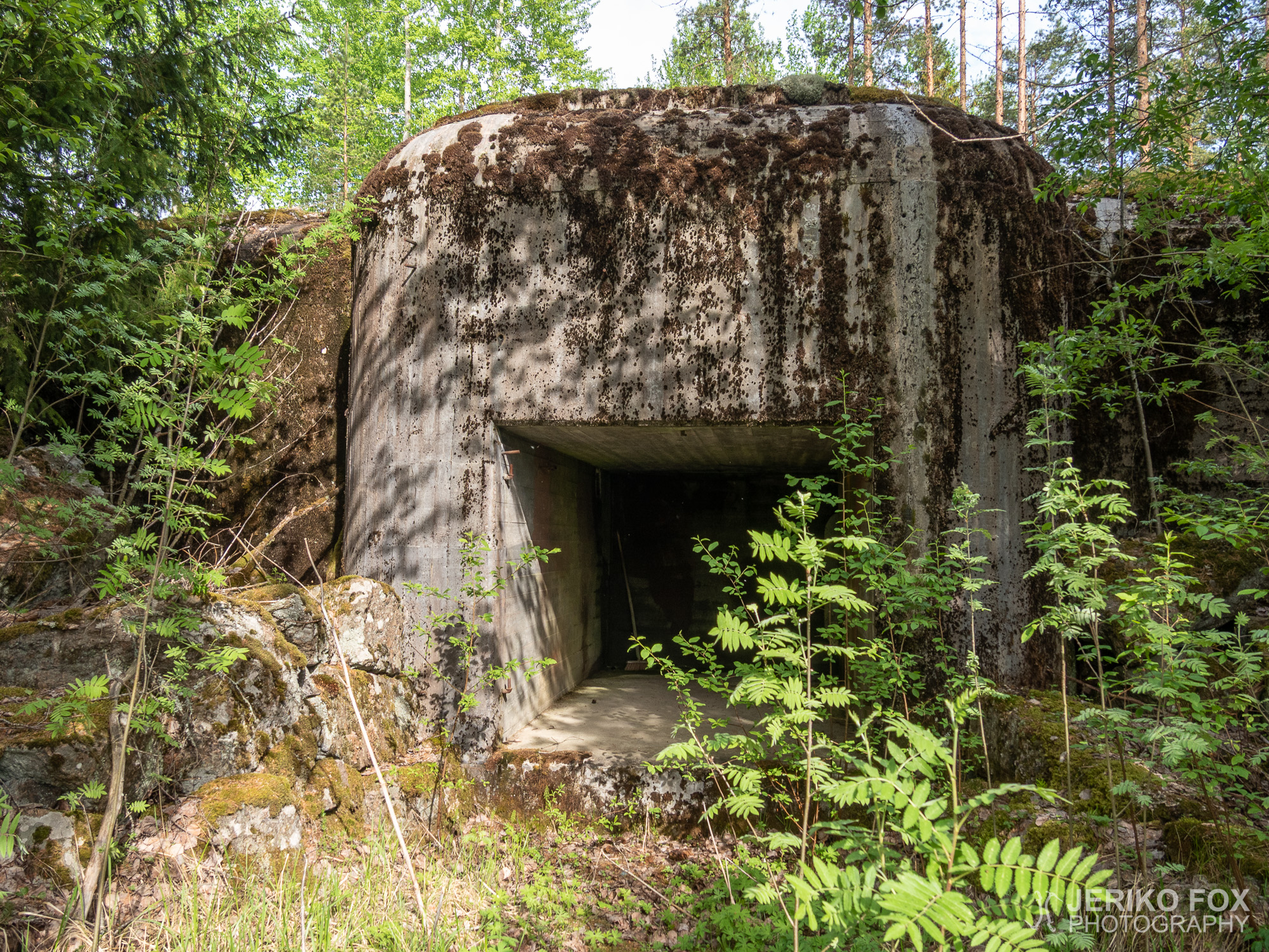 JFRM-2019-05-2409