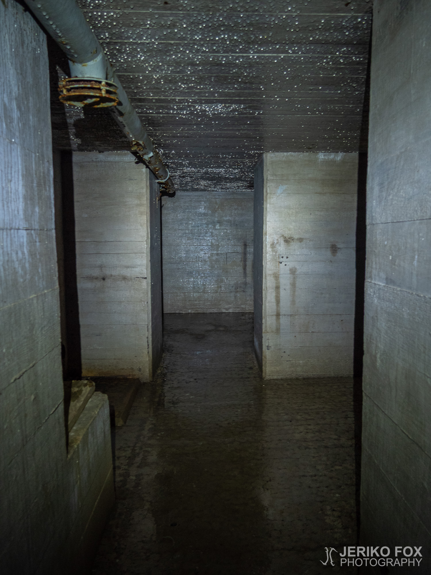 JFRM-2019-05-2424