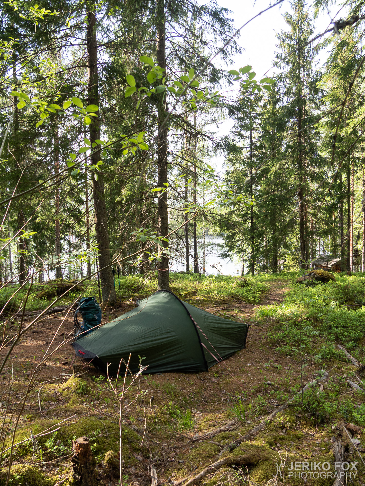 JFRM-2019-05-2439