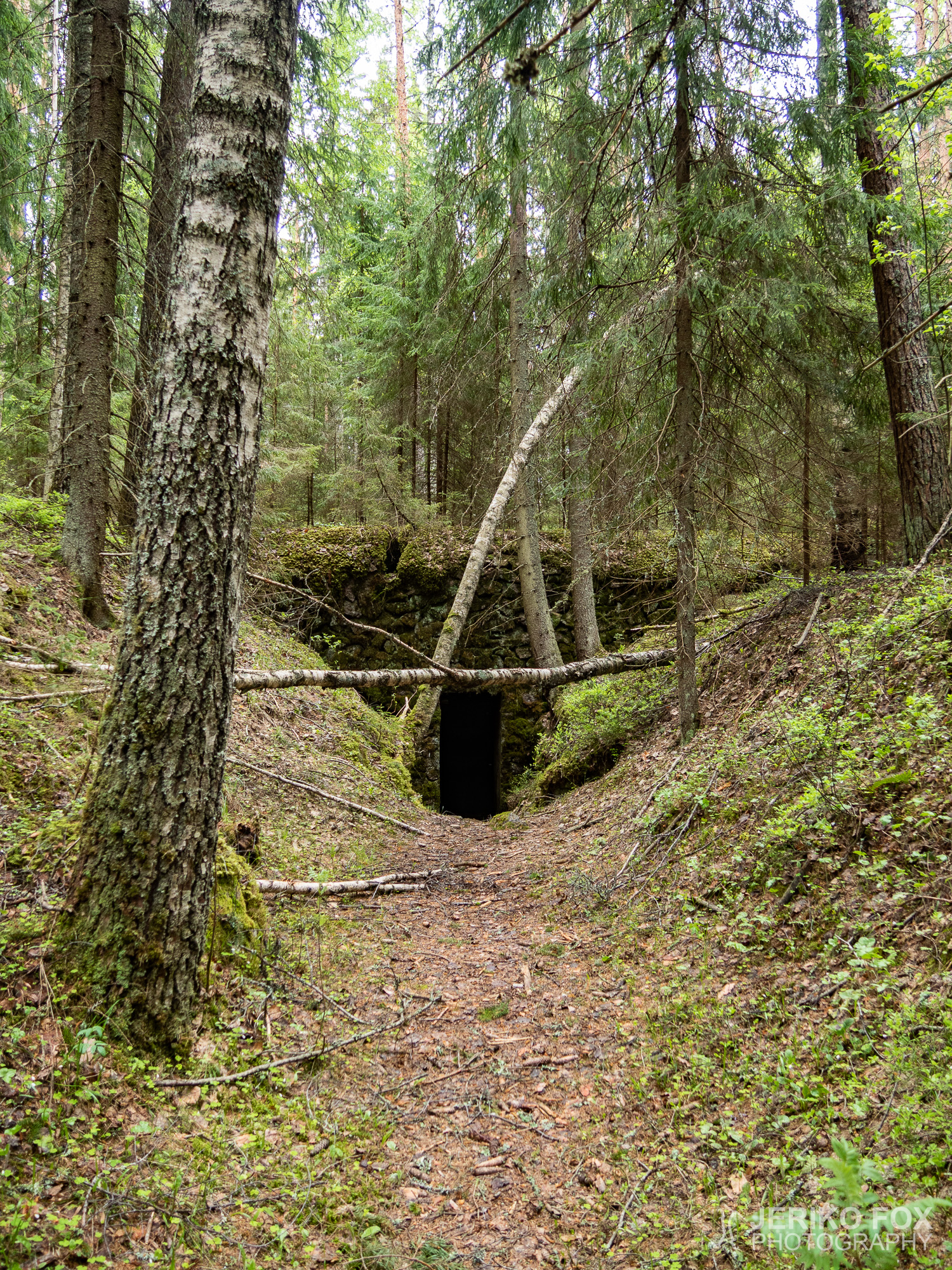 JFRM-2019-05-2450