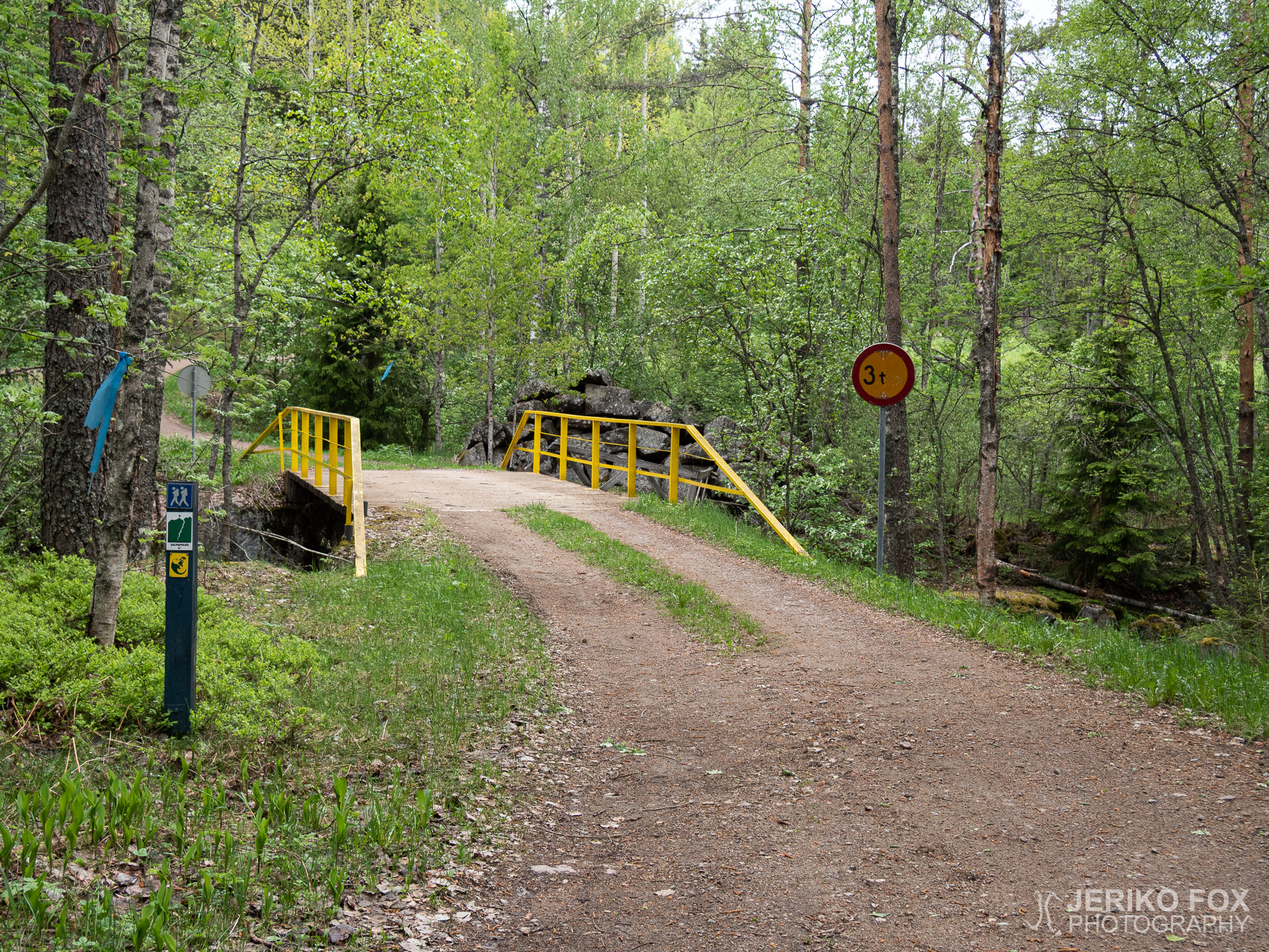 JFRM-2019-05-2460