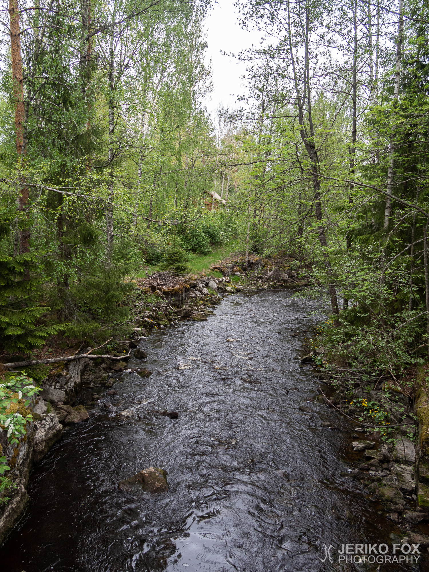 JFRM-2019-05-2461