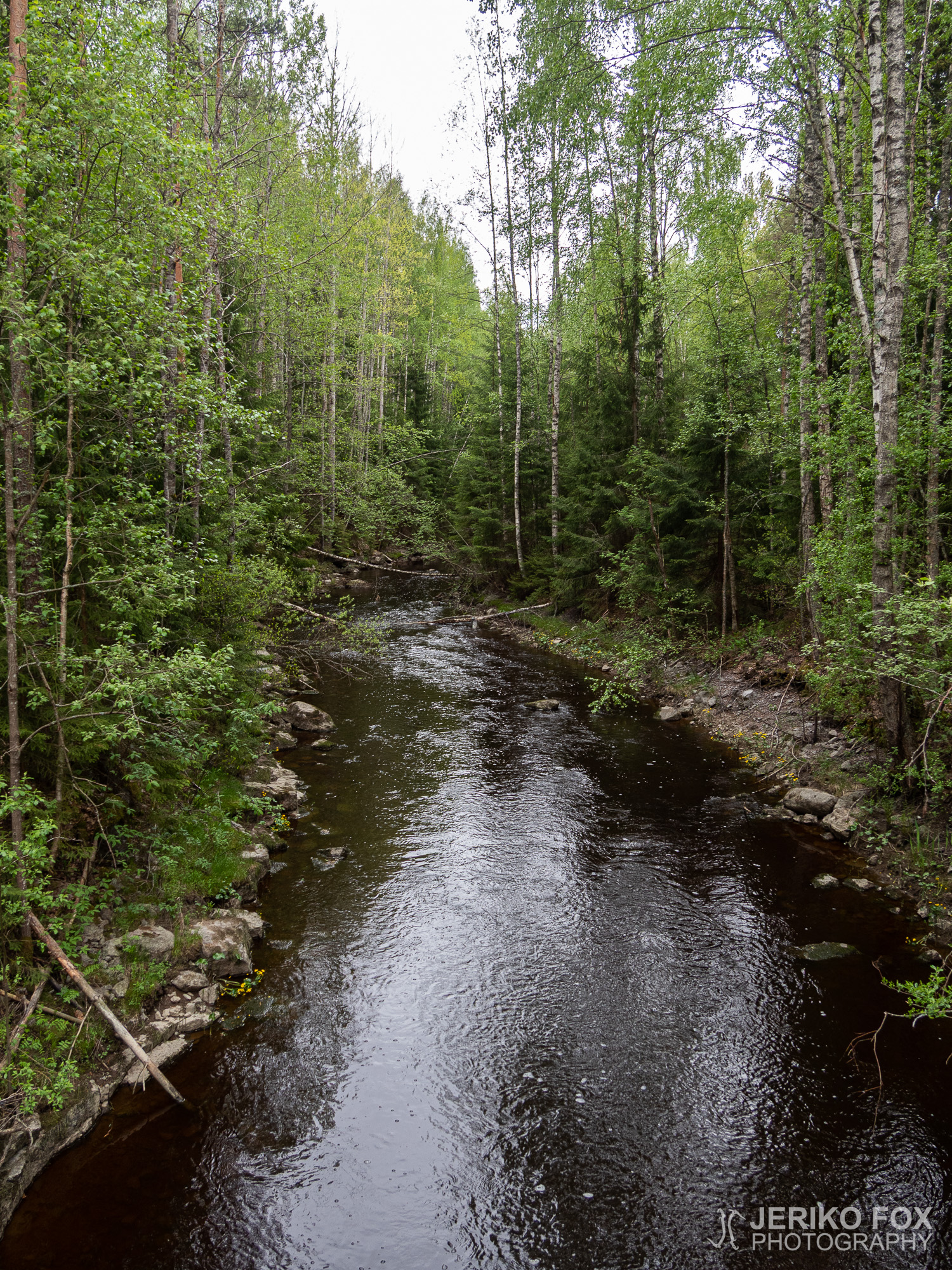 JFRM-2019-05-2462
