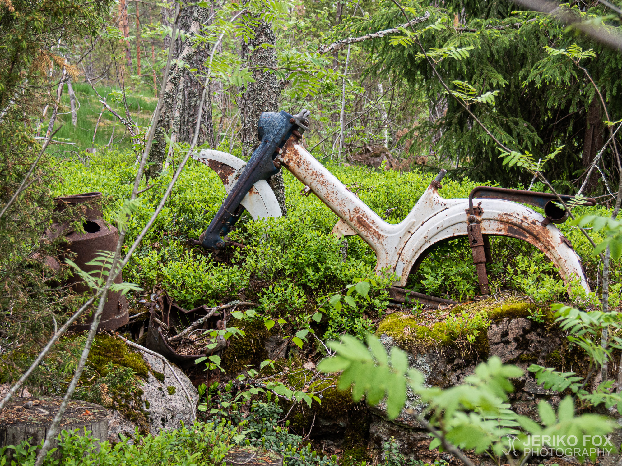 JFRM-2019-05-2464
