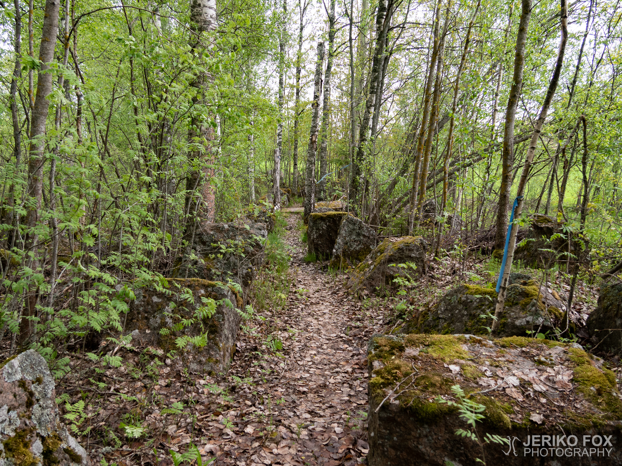JFRM-2019-05-2466