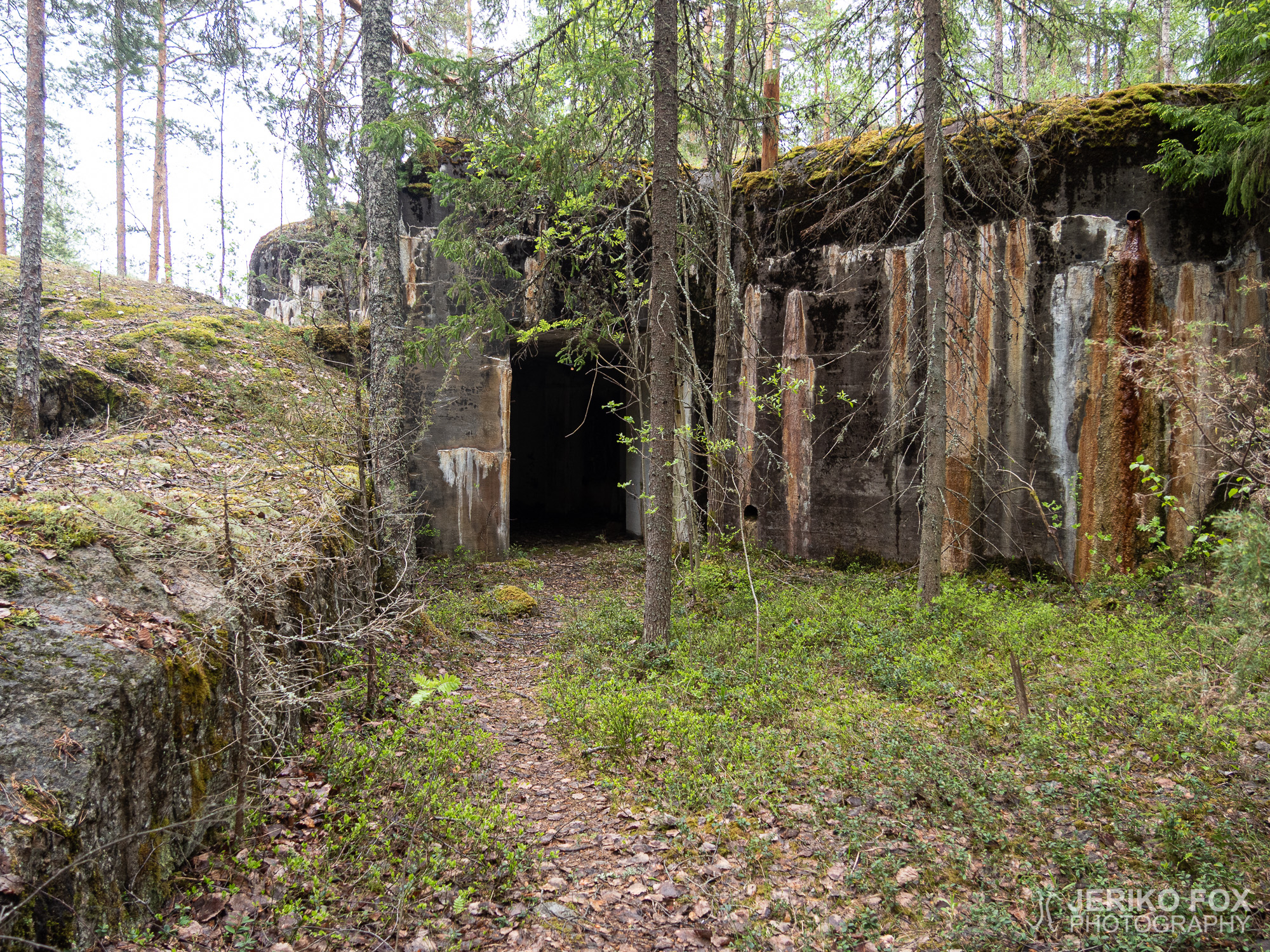 JFRM-2019-05-2504