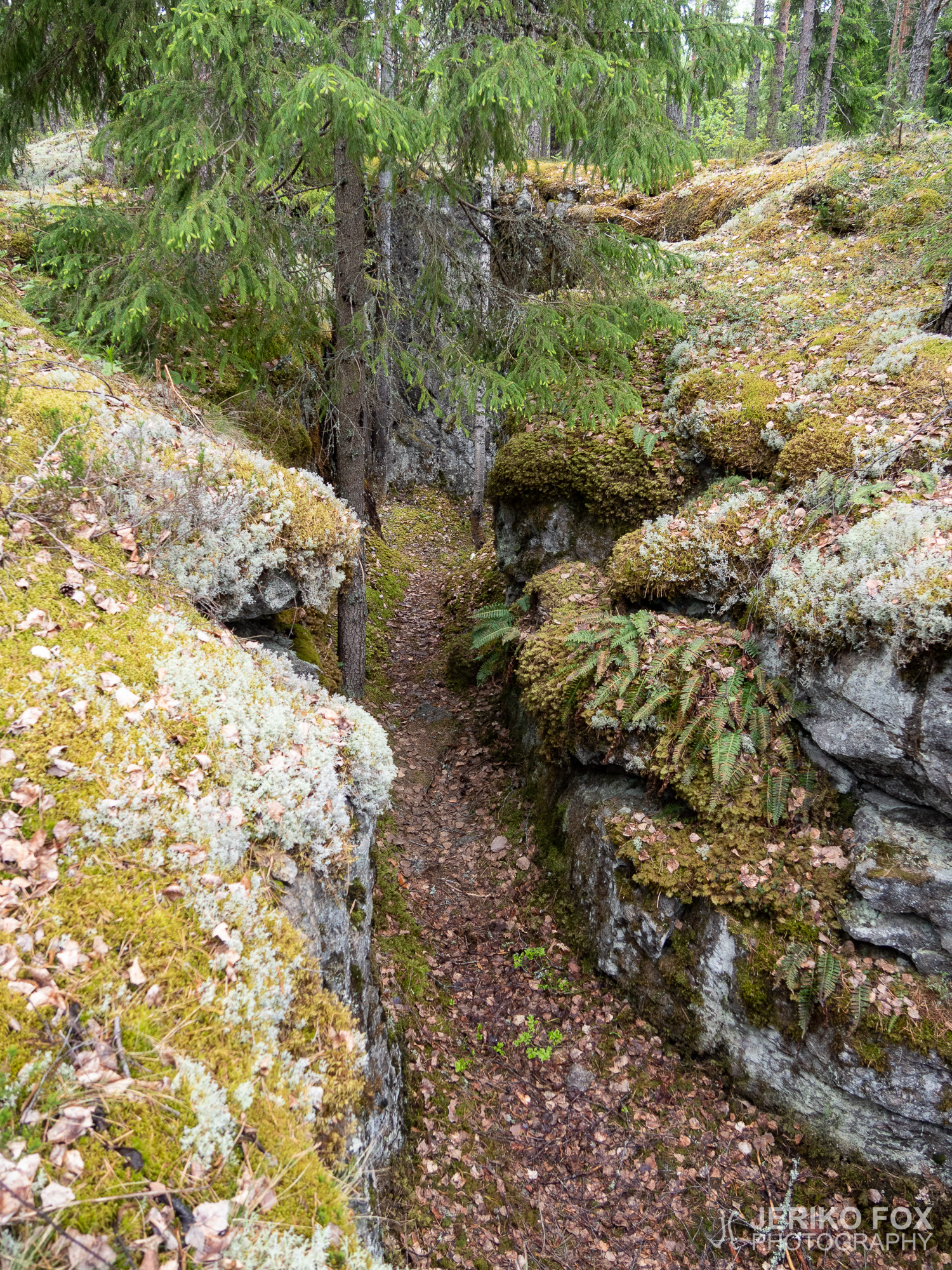 JFRM-2019-05-2516