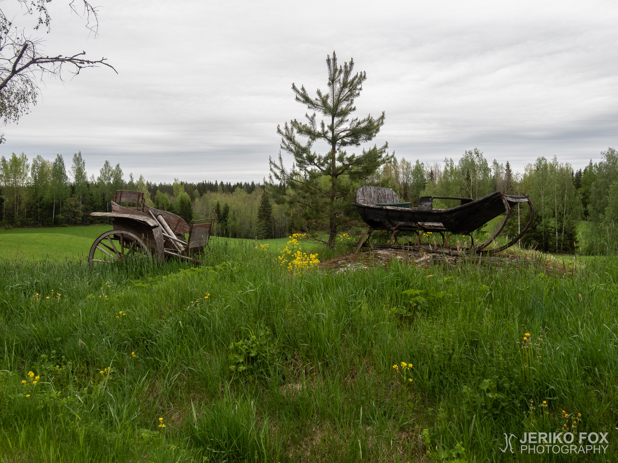 JFRM-2019-05-2530