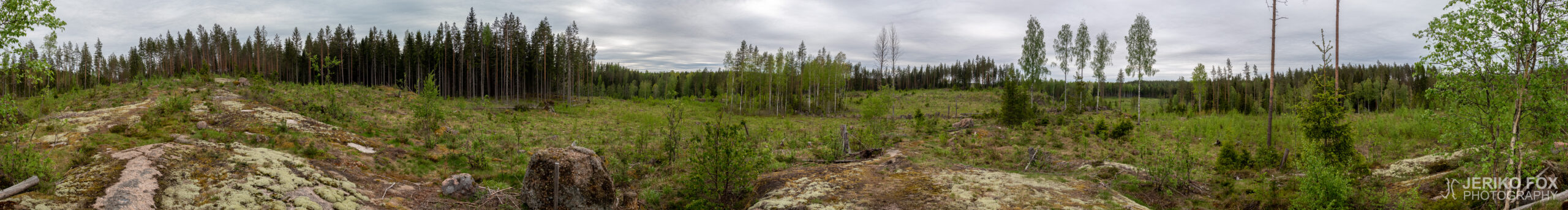 JFRM-2019-05-2543-Pano