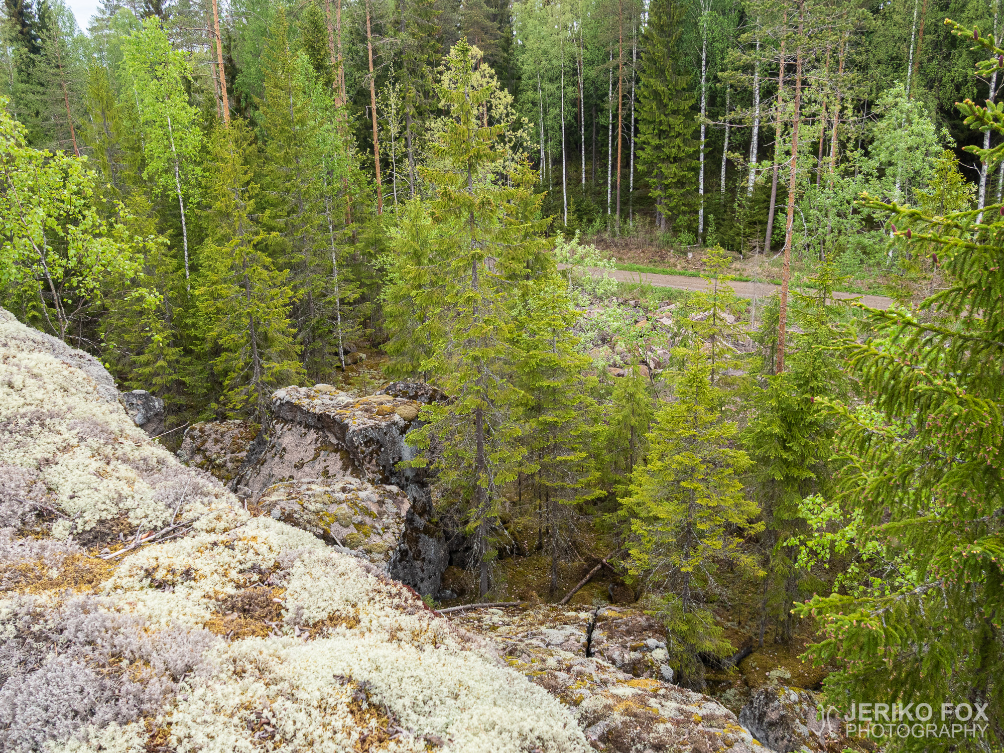 JFRM-2019-05-2557