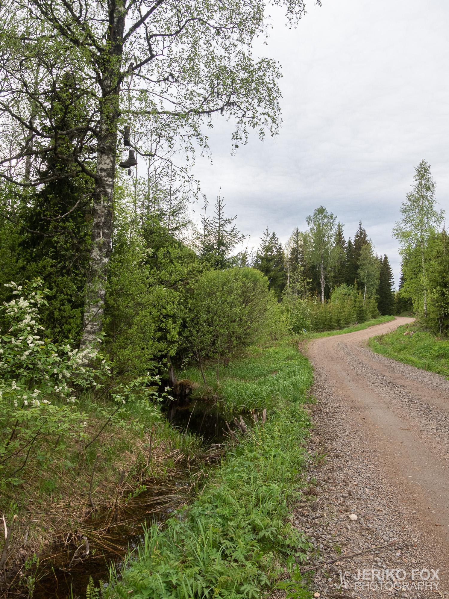 JFRM-2019-05-2564