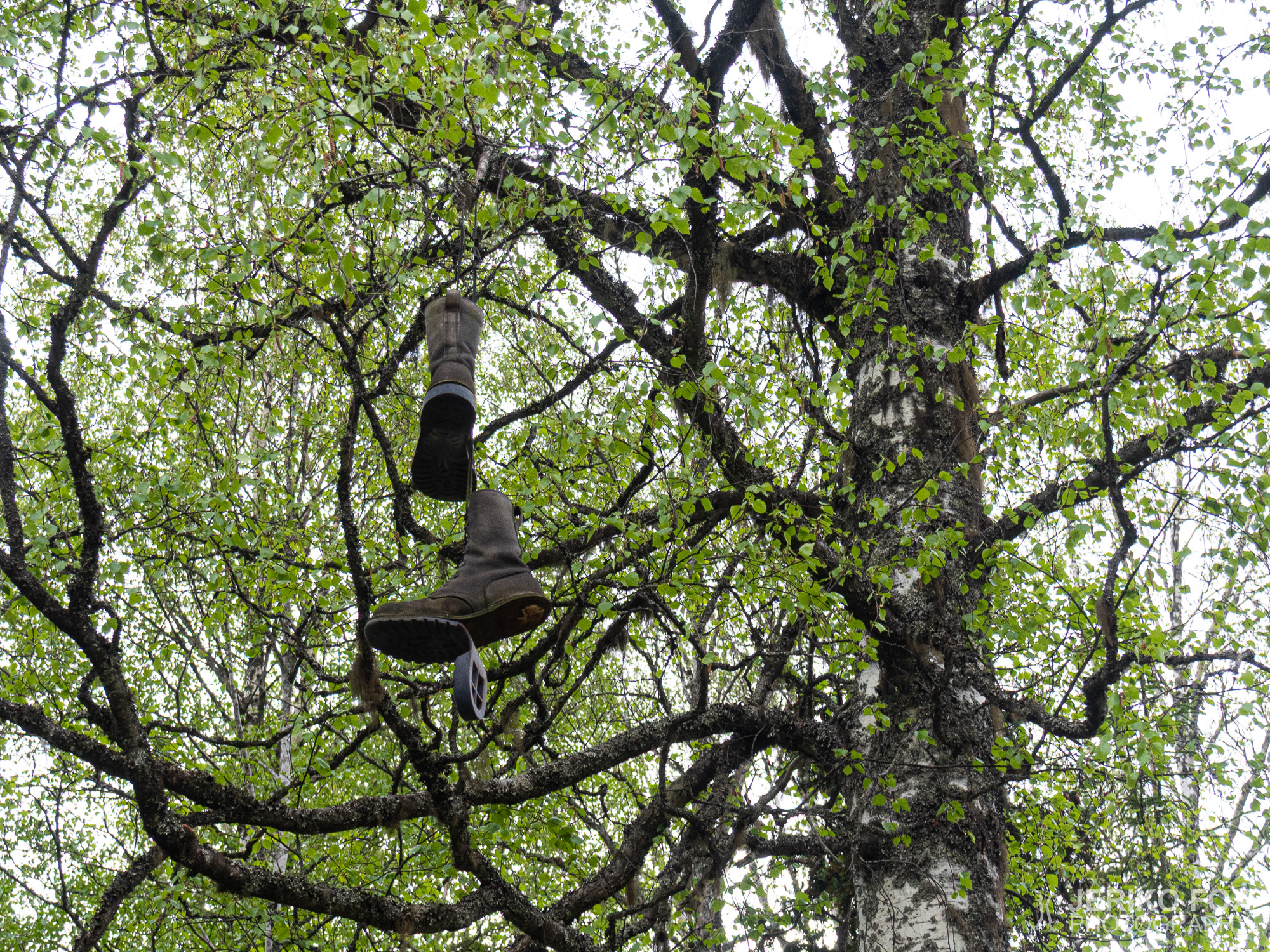 JFRM-2019-05-2567