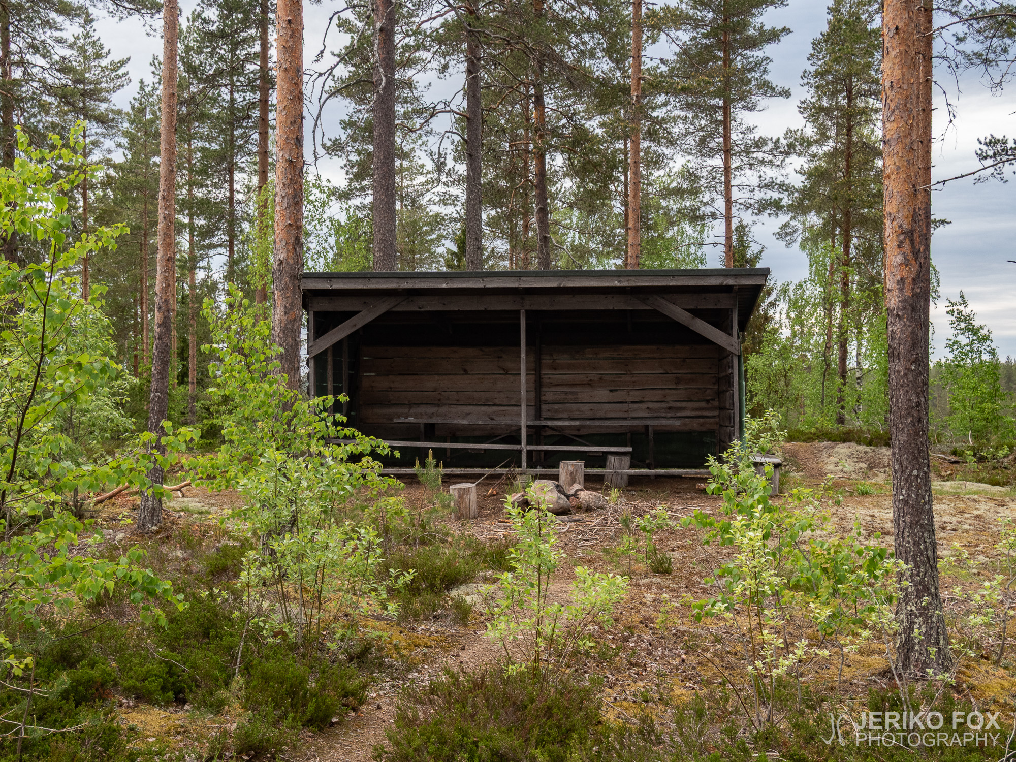JFRM-2019-05-2573