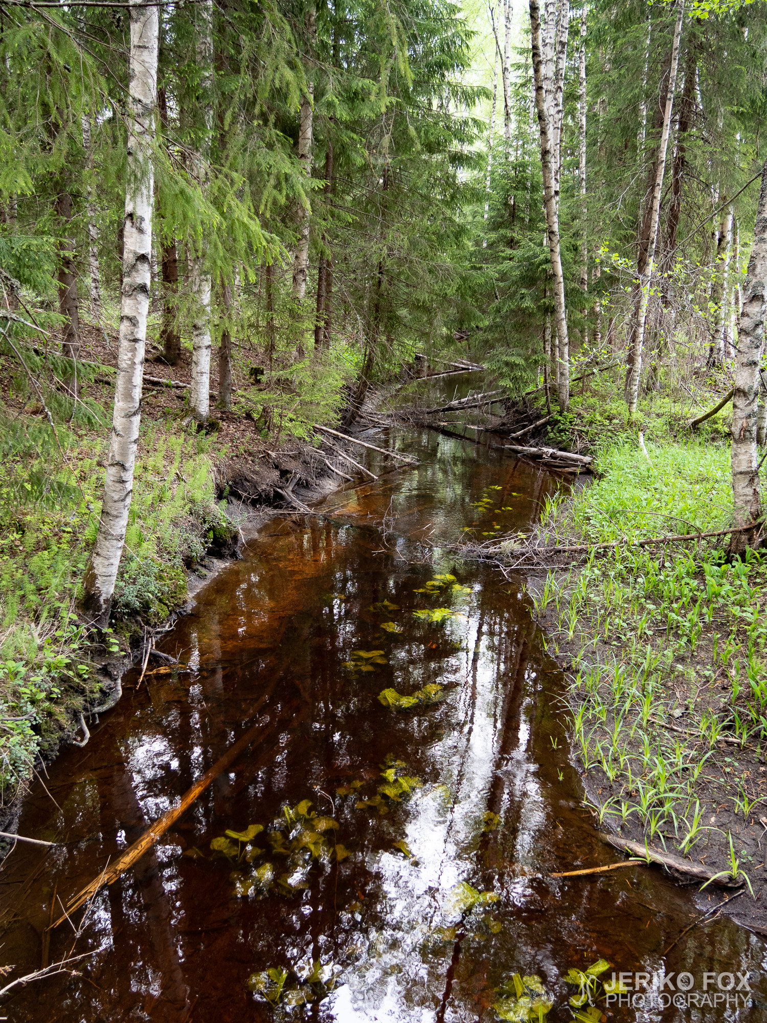JFRM-2019-05-2576