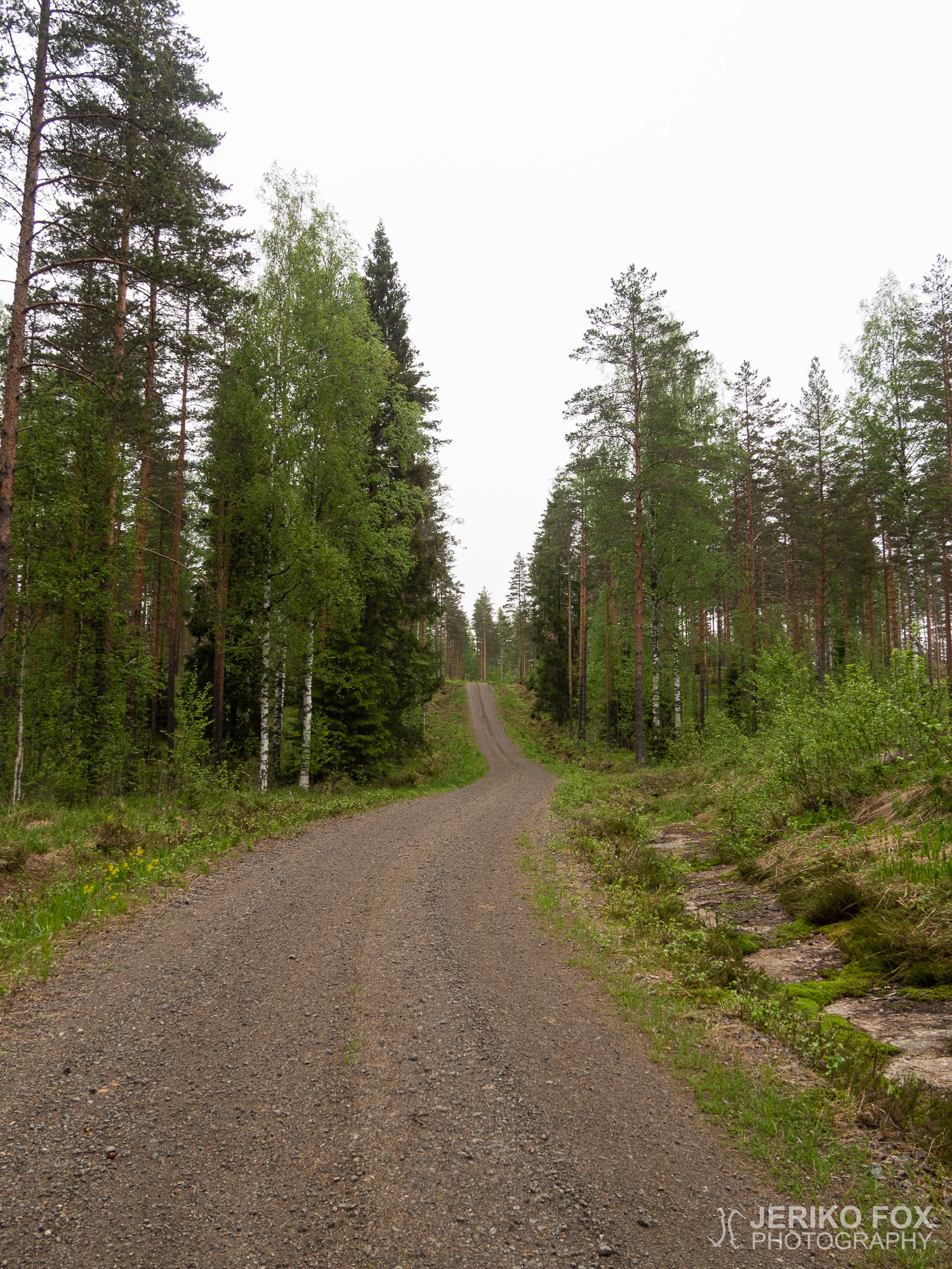 JFRM-2019-05-2582