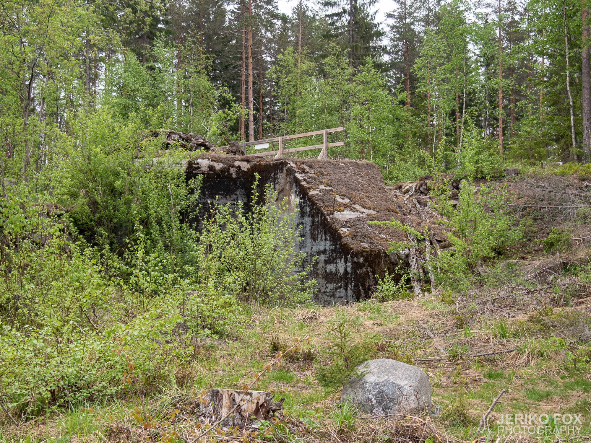 JFRM-2019-05-2583