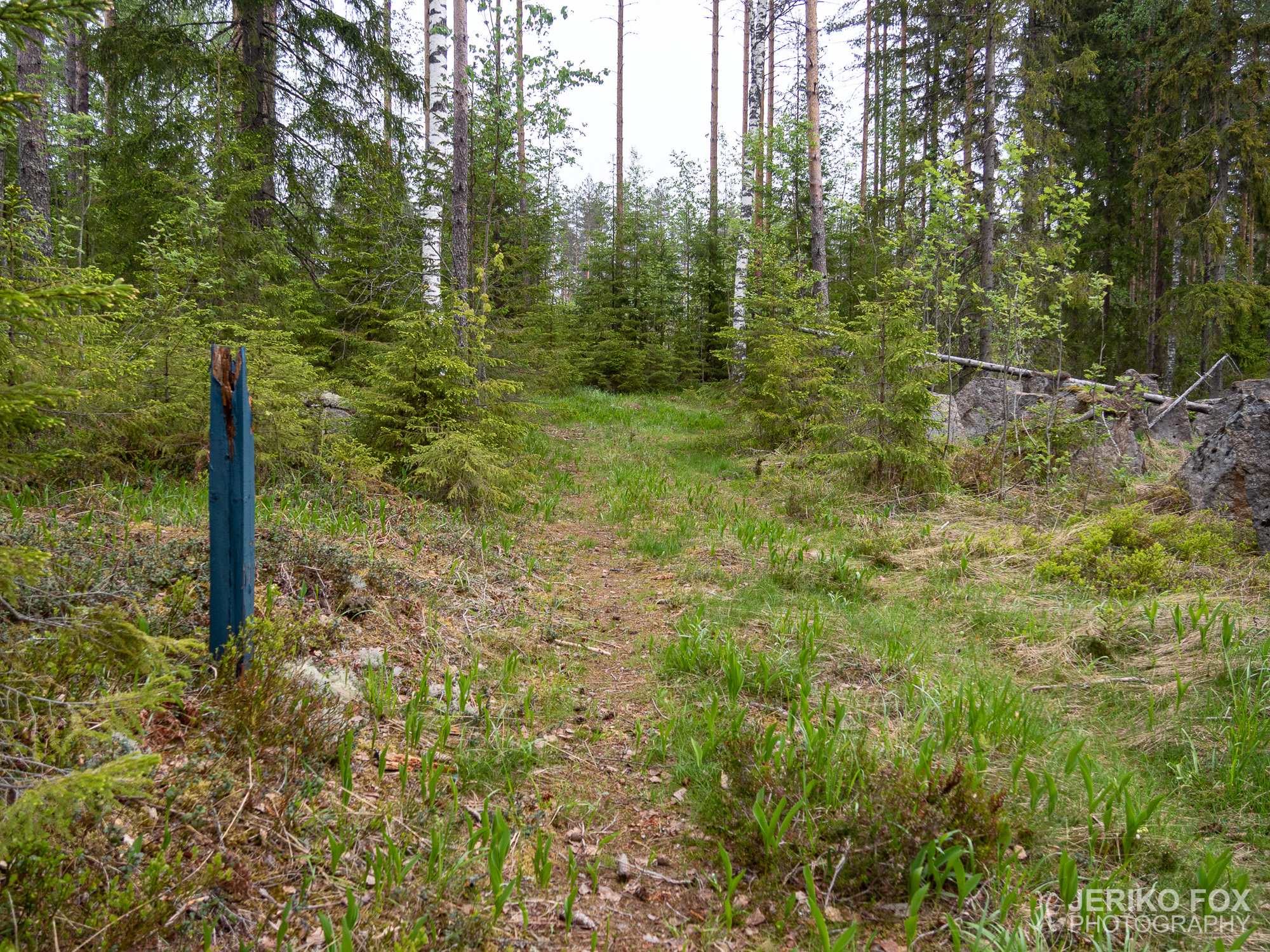 JFRM-2019-05-2584
