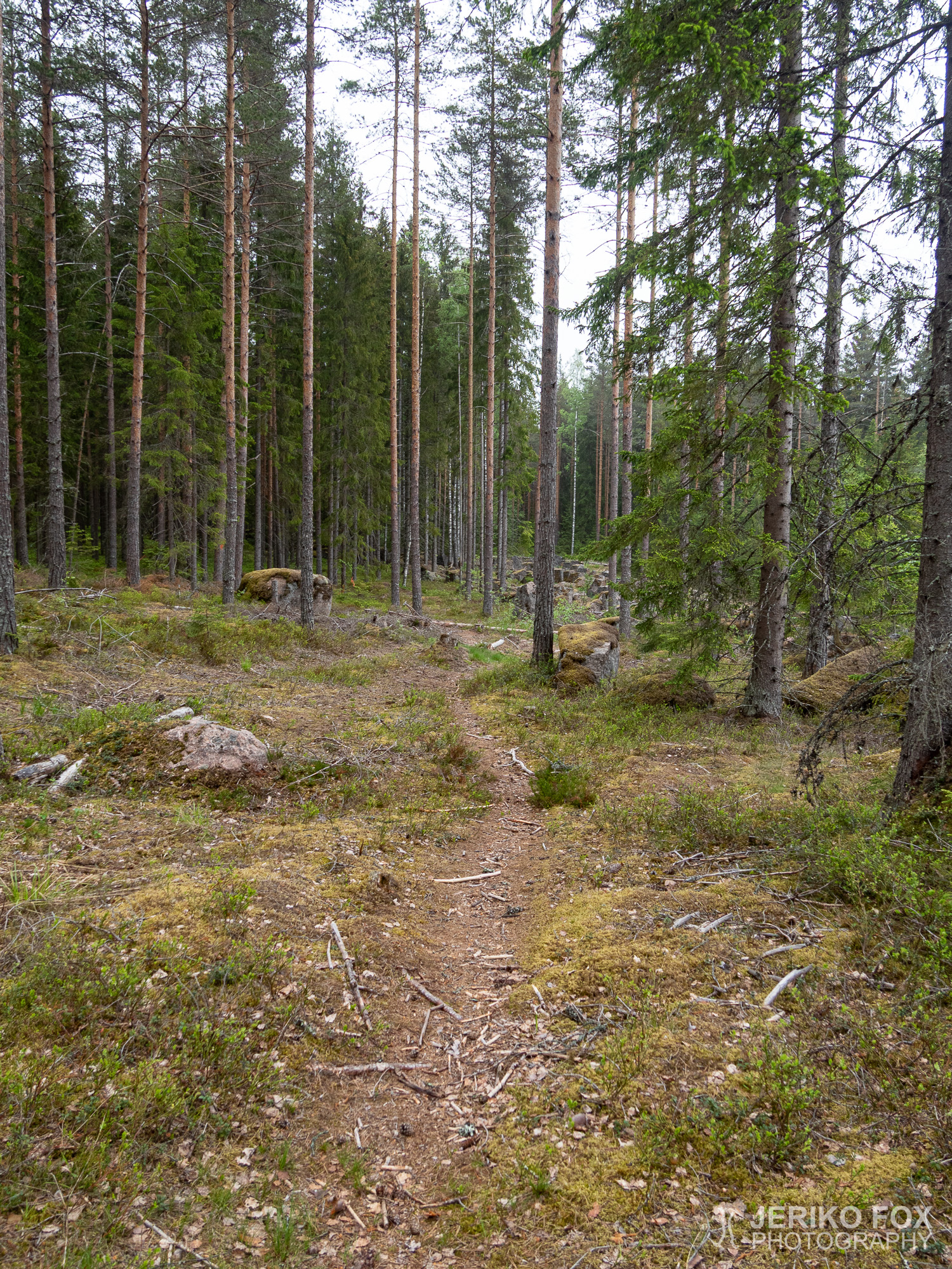 JFRM-2019-05-2587