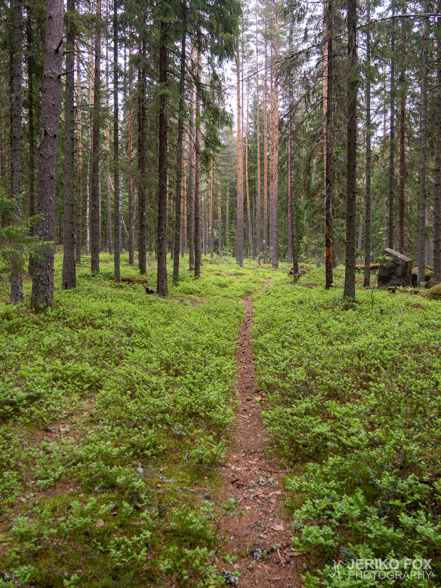 JFRM-2019-05-2588
