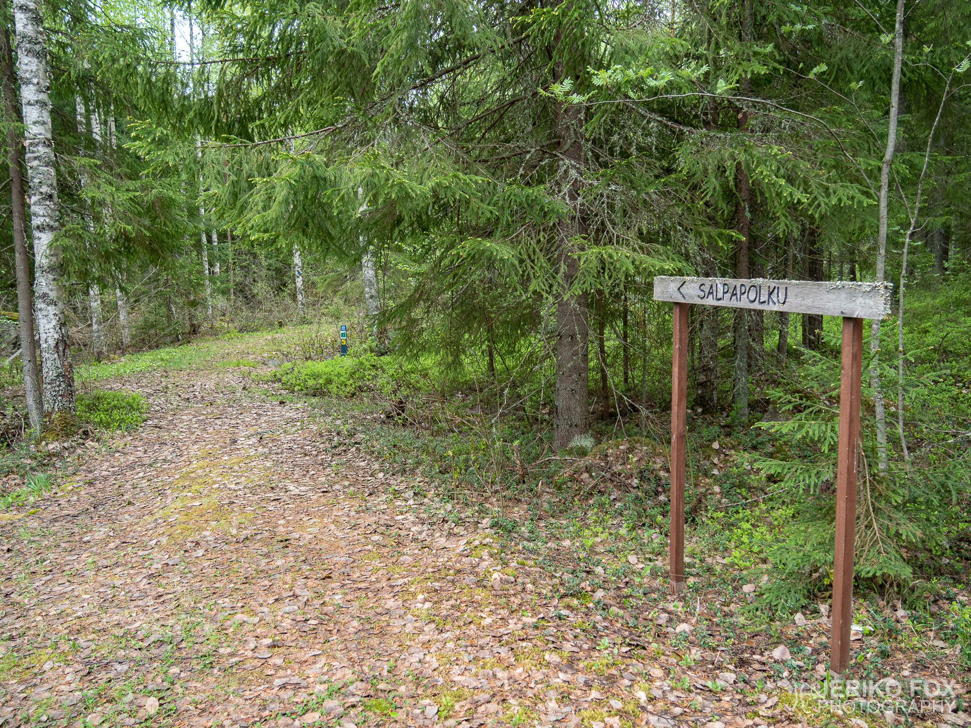 JFRM-2019-05-2589