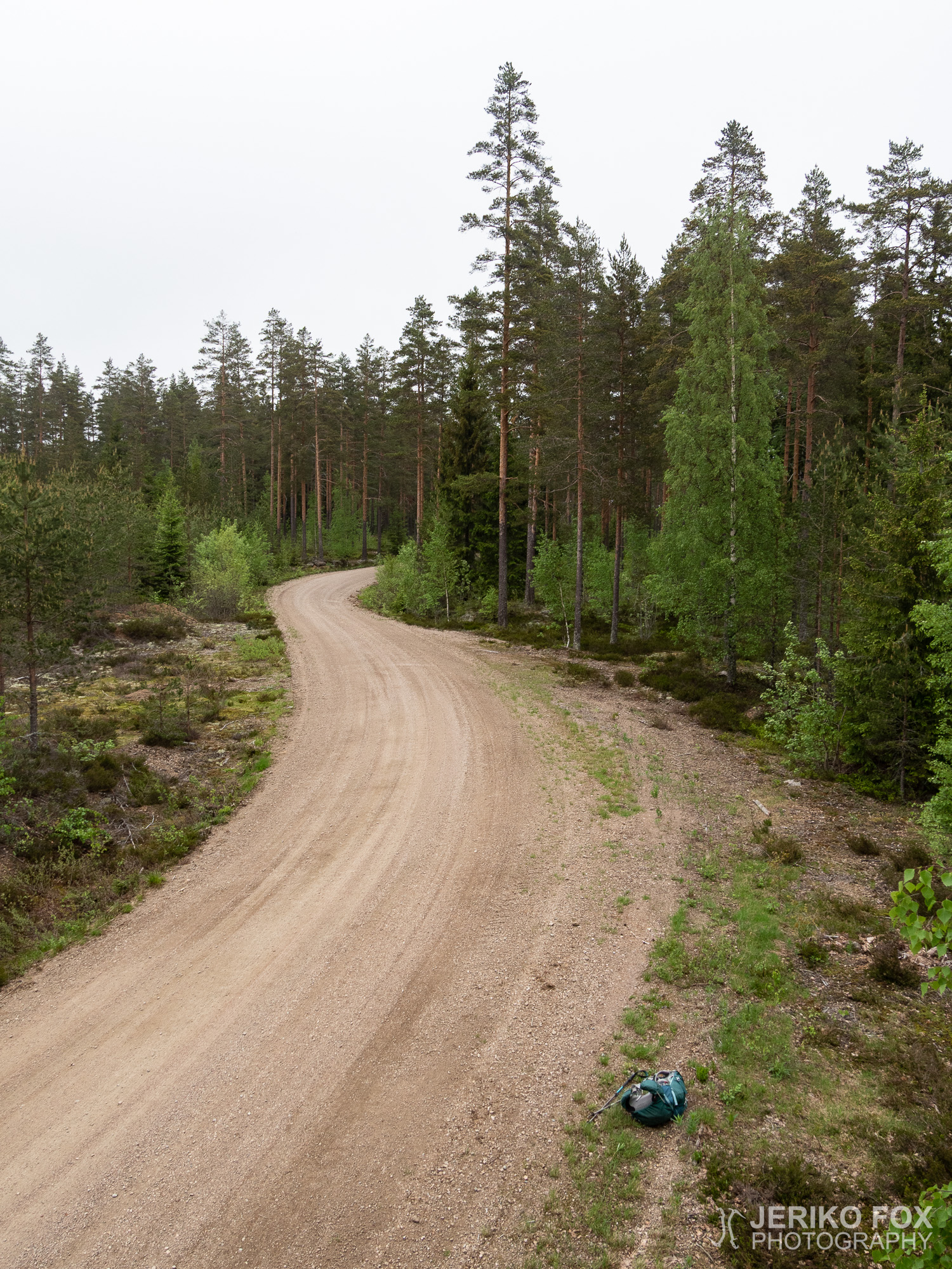 JFRM-2019-05-2602