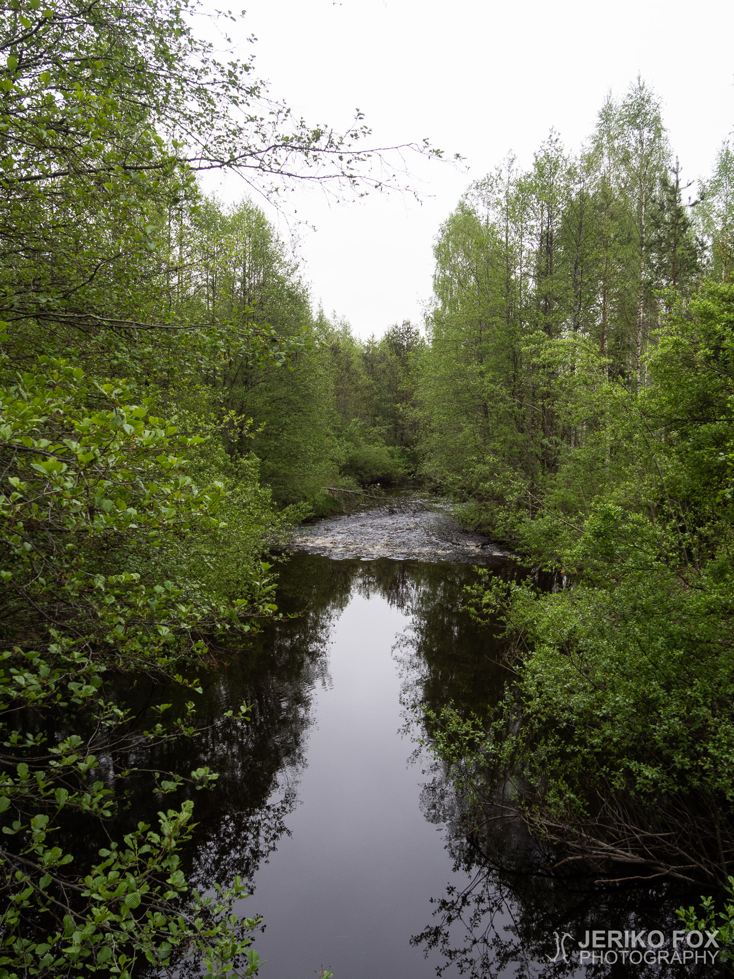 JFRM-2019-05-2612