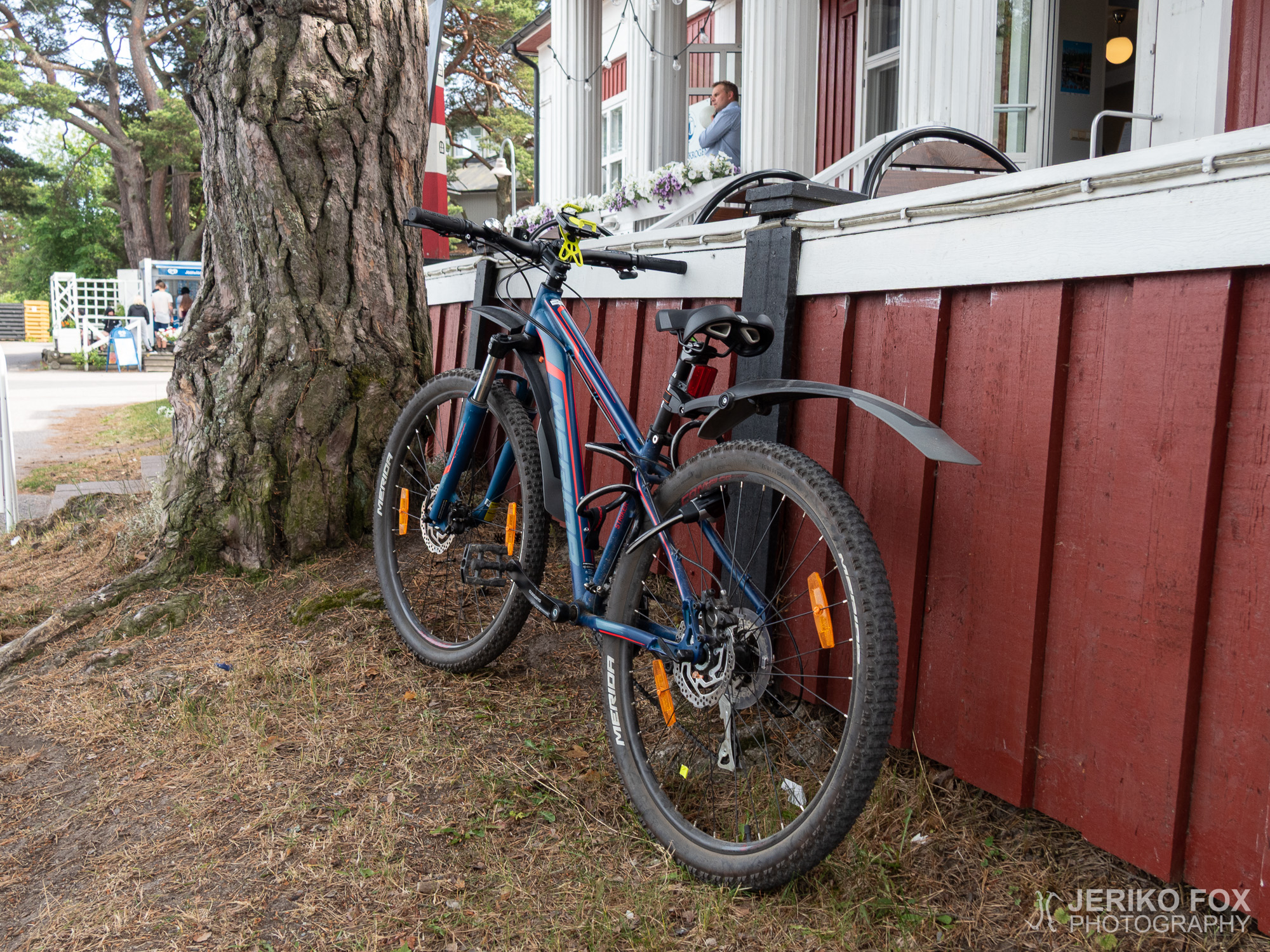 JFRM-2019-06-2748