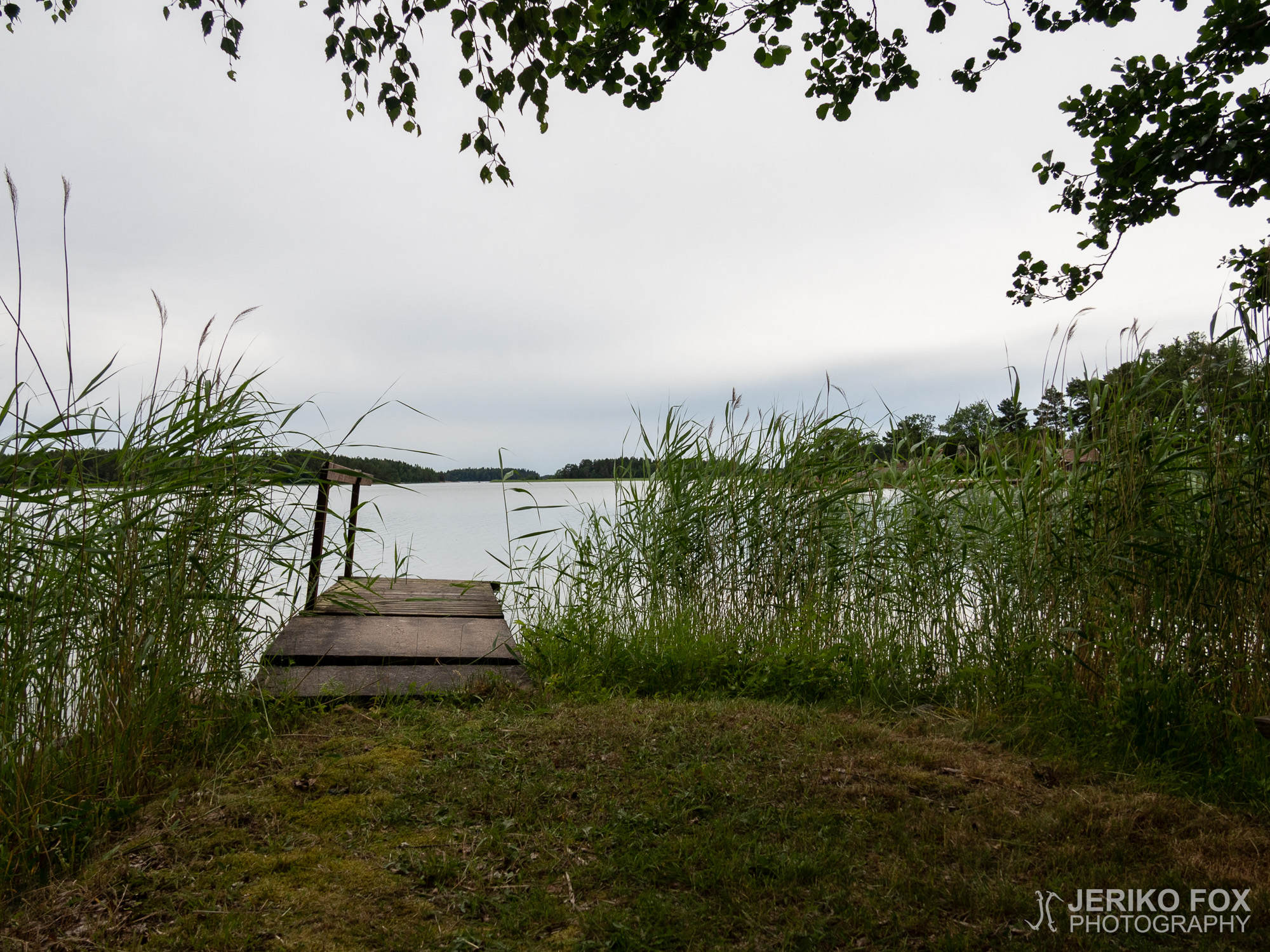 JFRM-2019-06-2765