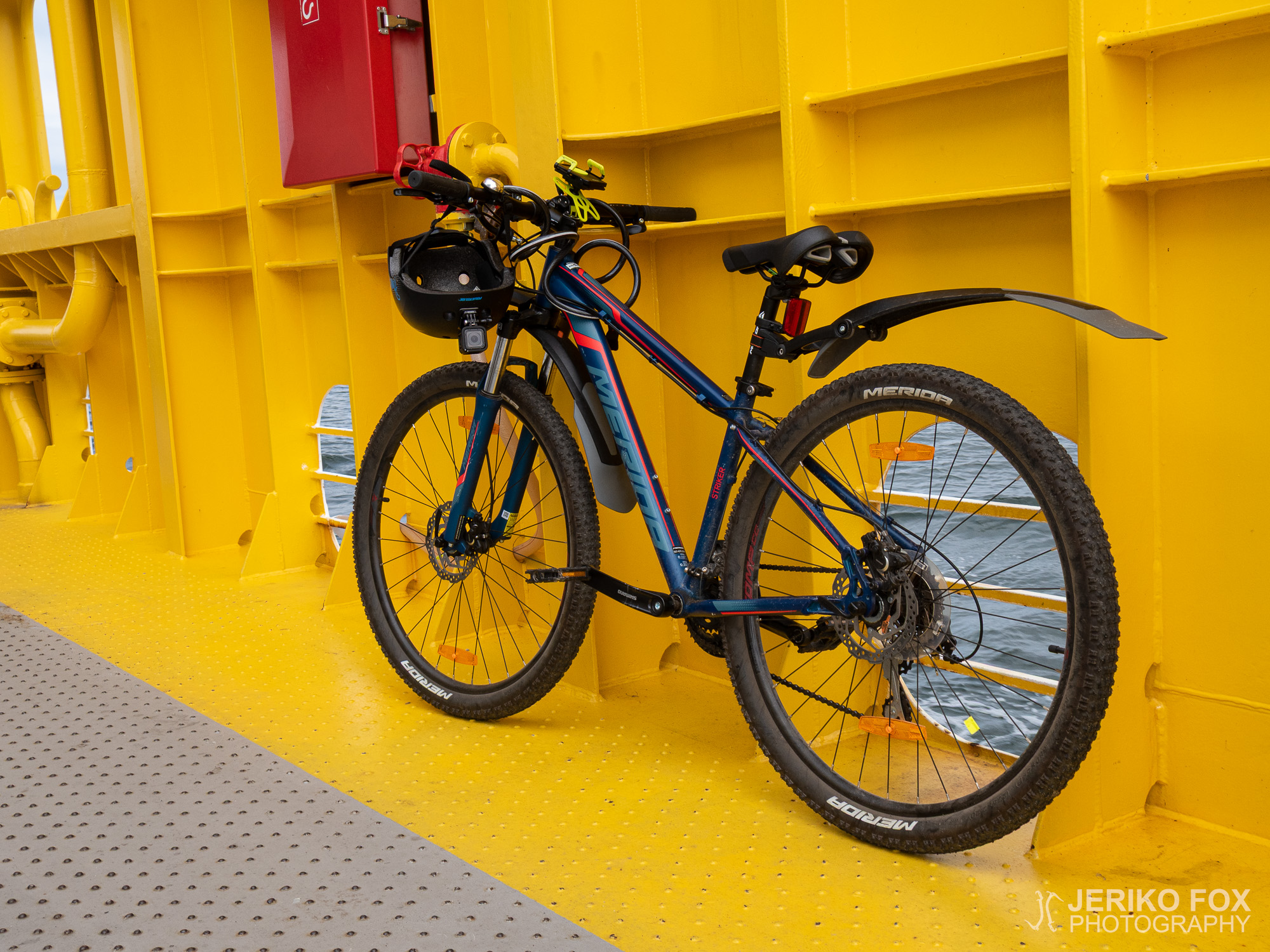 JFRM-2019-06-2793