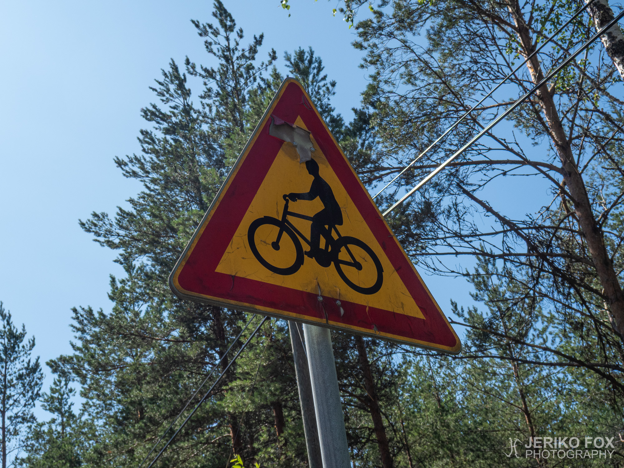 JFRM-2019-06-2887