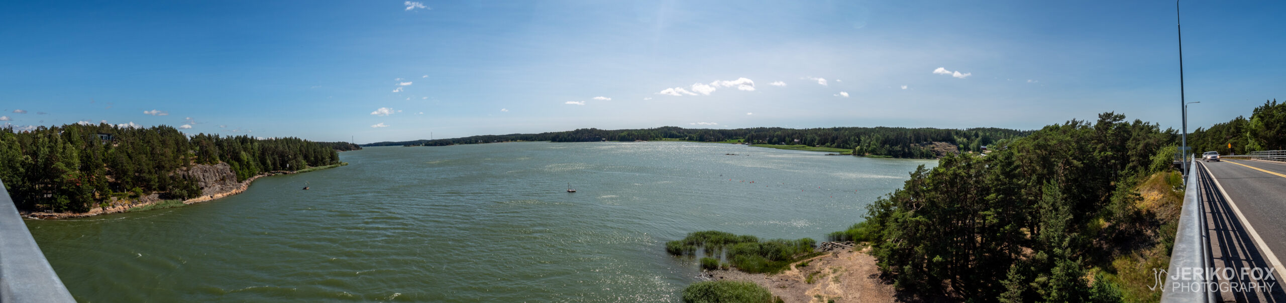 JFRM-2019-06-2900-Pano