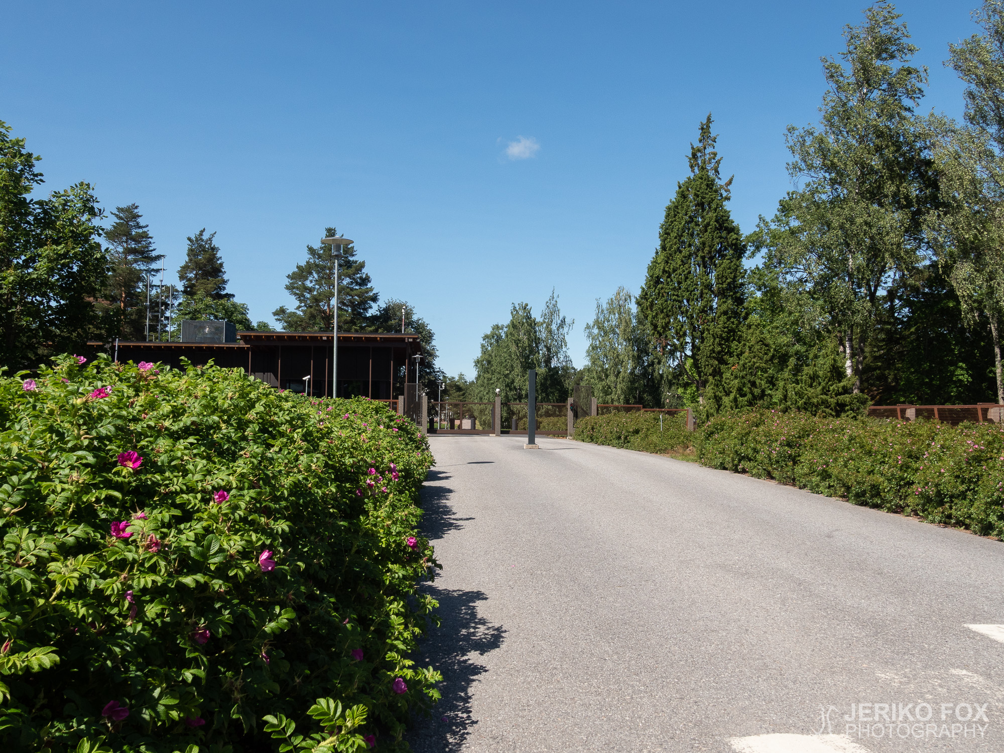 JFRM-2019-06-2907