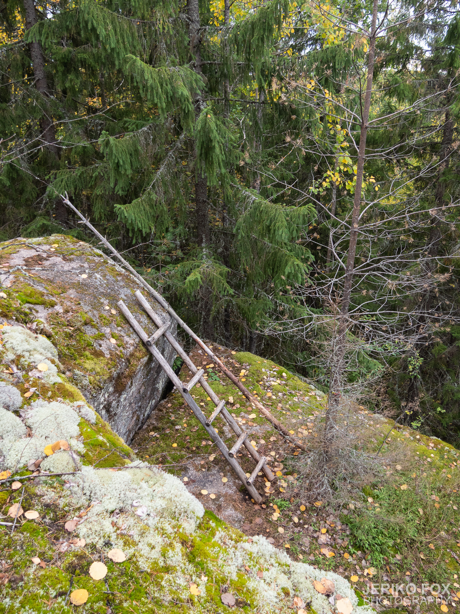 JFRM-2019-09-3221