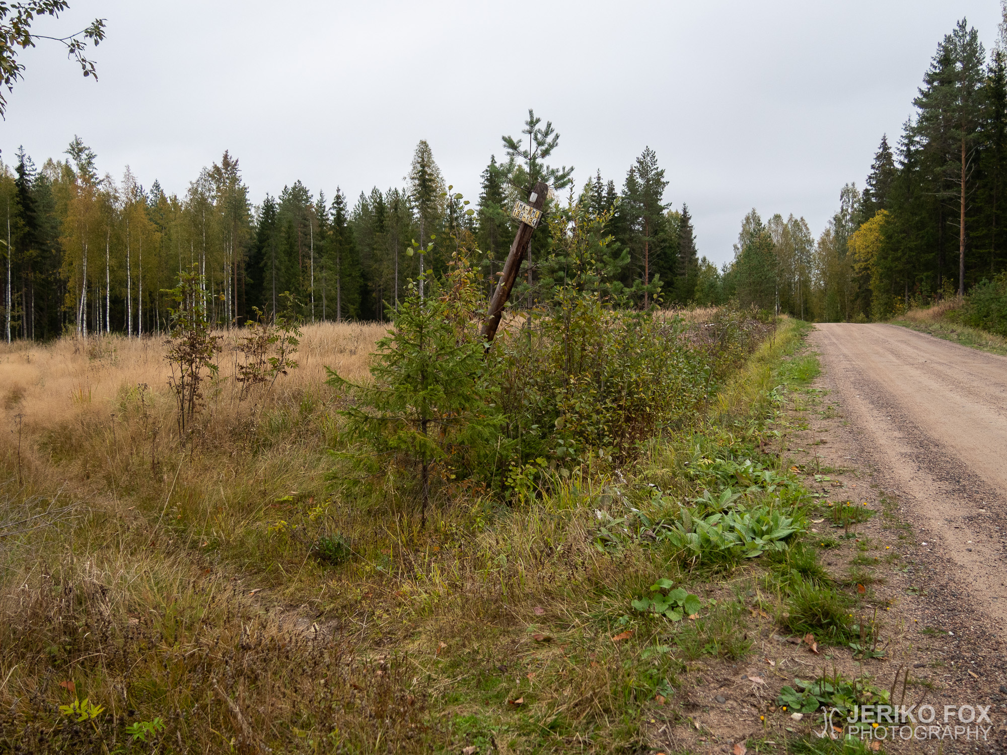JFRM-2019-09-3249