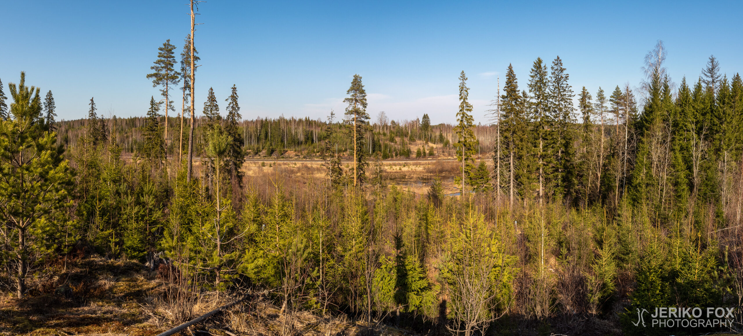 JFRM-2020-04-0336-Pano