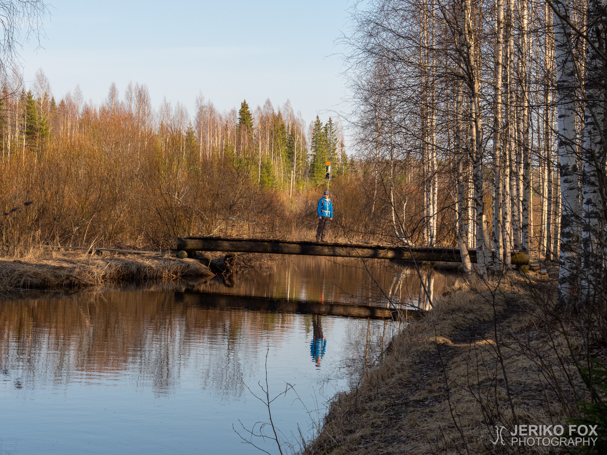 JFRM-2020-04-0361