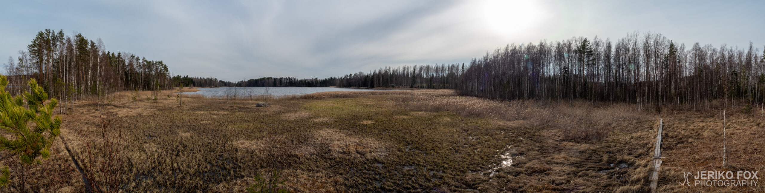 JFRM-2020-05-0433-Pano