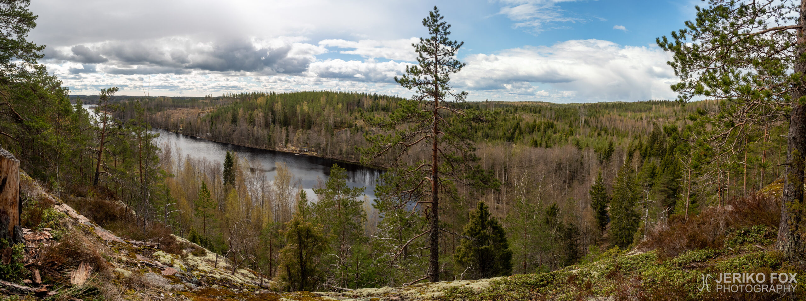 JFRM-2020-05-0583-Pano