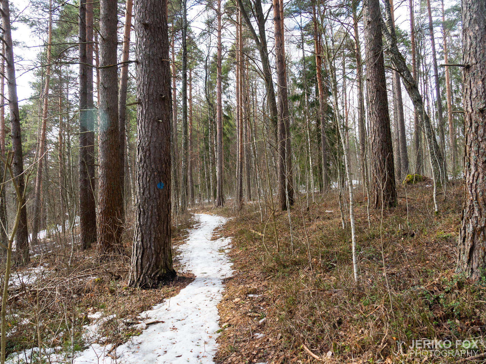 JFRM-2021-03-0975