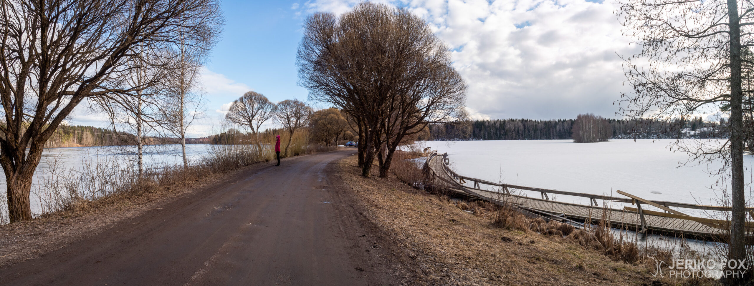 JFRM-2021-04-1017-Pano