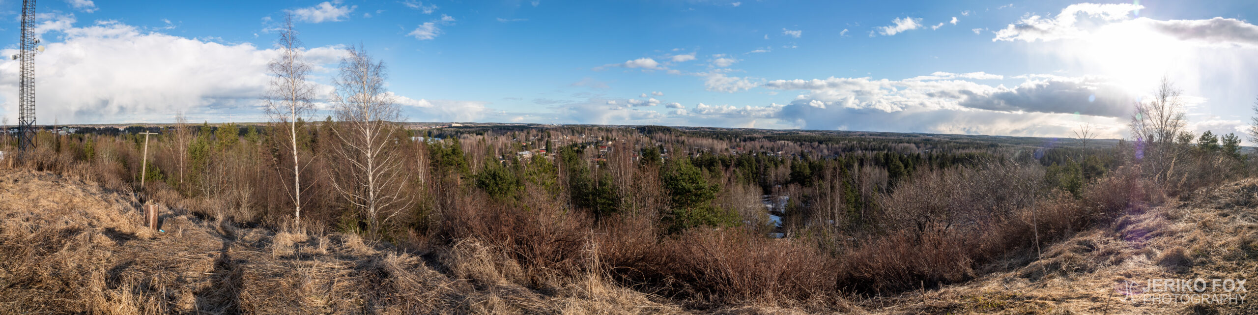 JFRM-2021-04-1043-Pano