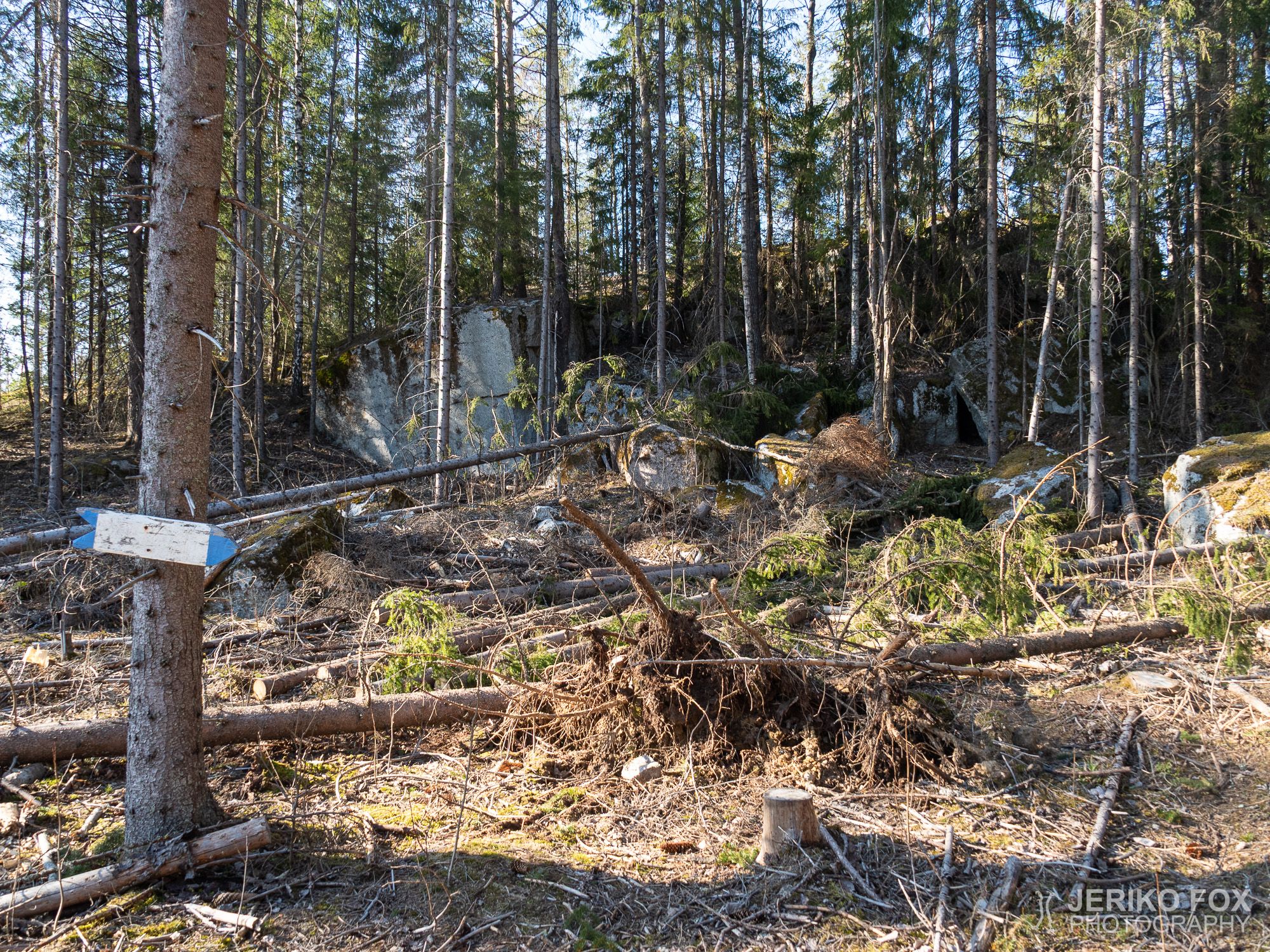 JFRM-2021-04-1074